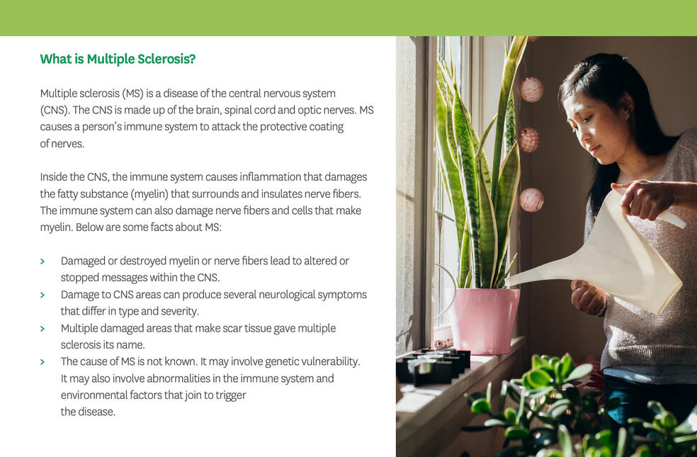 Video Screen Shot 01